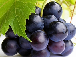 �c(di��n)���鿴Ԕ��