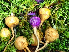 �c(di��n)���鿴Ԕ��