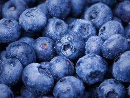 �c(di��n)���鿴Ԕ��