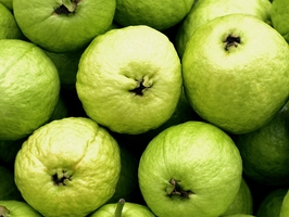 �c(di��n)���鿴Ԕ��