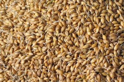 �c(di��n)���鿴Ԕ��