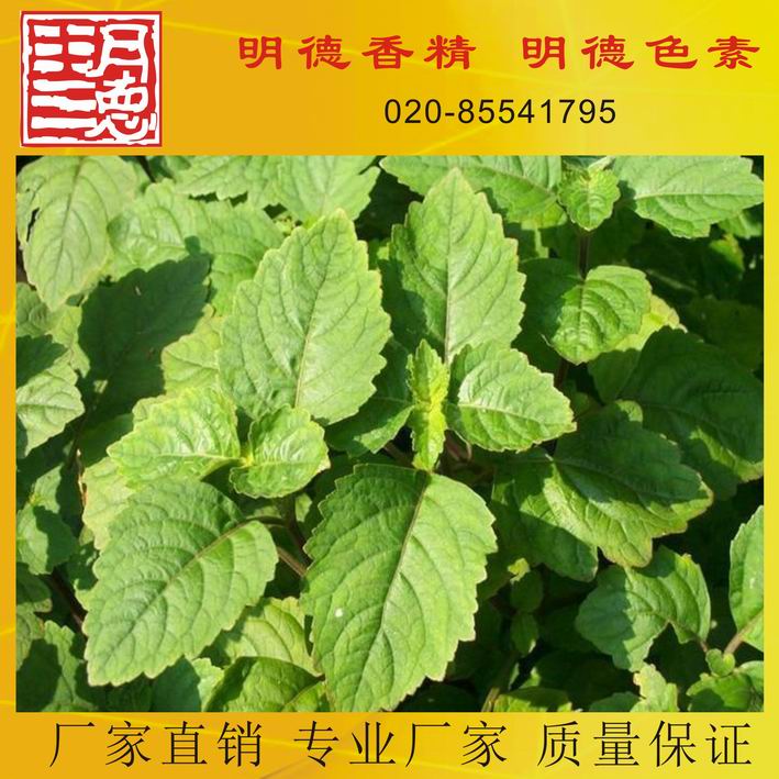 �c(di��n)���鿴Ԕ��