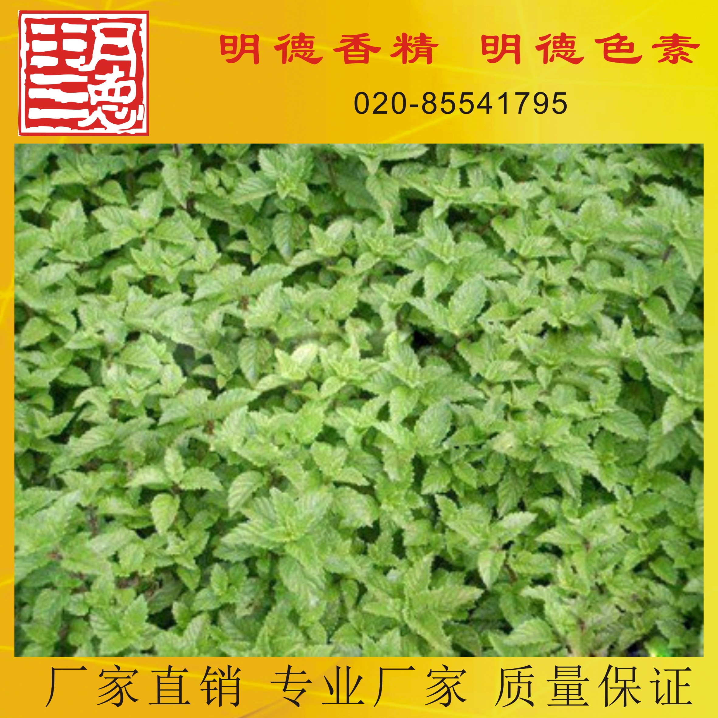 �c(di��n)���鿴Ԕ��